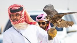 جانب من المنافسات