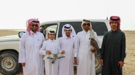 جانب من المنافسات