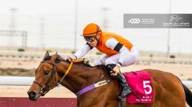 المهرة كيرينديا