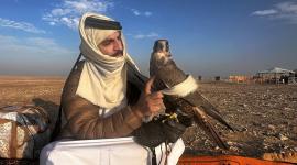 جانب من فعاليات المهرجان