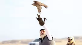 جانب من المنافسات