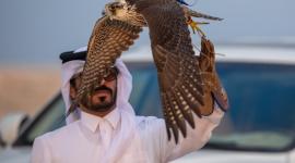 جانب من المنافسات