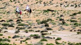 بطولة القلايل "صورة أرشيفية"