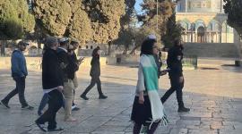 اقتحام متكرر للمسجد الأقصى