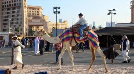 جانب من فعاليات المسابقة