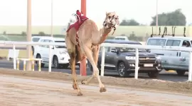 صورة أرشيفية