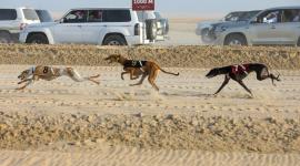 جانب من المنافسات