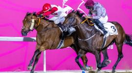 جانب من منافسات كأس فويرط