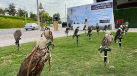 جانب من المسابقة