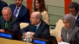 سعادة الشيخة علياء أحمد بن سيف آل ثاني المندوب الدائم لدولة قطر لدى الأمم المتحدة