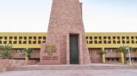جامعة تكساس إي آند إم