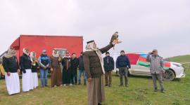 جانب من حملة إطلاق الصقور