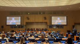 جانب من عرض الفلم