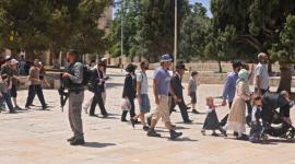 اقتحامات مستمرة للمسجد الأقصى