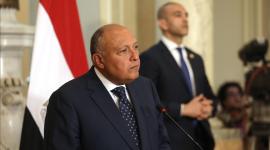 وزير الخارجية المصري سامح شكري