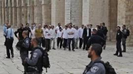 اقتحام عشرات المستوطنين باحات المسجد الأقصى