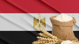 احتياطي مصر من القمح يكفي لمدة شهرين ونصف الشهر فقط