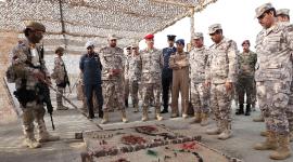 جانب من التمرين