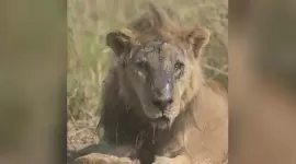 صورة تعبيرية