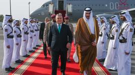 جانب من الاستقبال