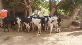 صورة تعبيرية