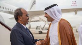 جانب من الاستقبال