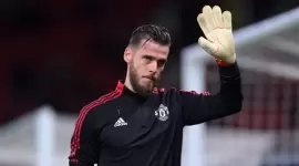 ديفيد دي خيا