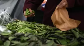 صورة تعبيرية