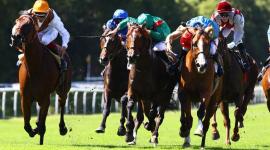 جانب من المنافسات