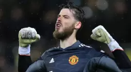 ديفيد دي خيا