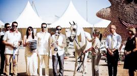 بطولة منتون الدولية لجمال الخيل بفرنسا