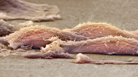 صورة تعبيرية