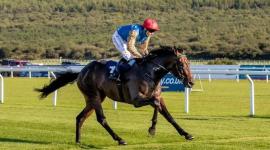 المهر بر كونترا