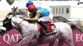 الجواد "عابس"