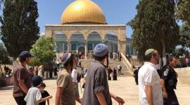 اقتحام عشرات المستوطنين باحات المسجد الأقصى