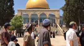 استمرار اقتحام المسجد الأقصى