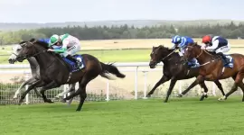 جانب من منافسات مهرجان قطر غودوود