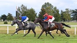 جانب من المنافسات