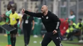 جمال بلماضي