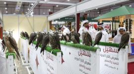 معرض "سهيل 2023"