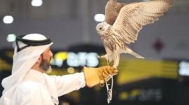 جانب من المعرض