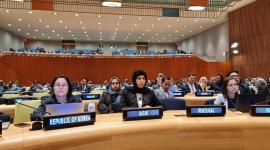 جانب من المشاركة القطرية بالاجتماع