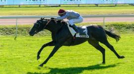 المهر صلاح الدين