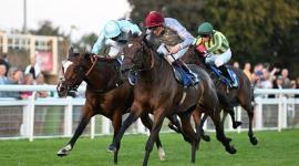 جانب من المنافسات