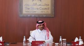 سعادة الدكتور أحمد بن ناصر الفضالة الأمين العام لمجلس الشورى