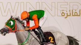 الفرس "اعتبار"