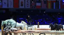 فتتاح معرض الفرس للجديدة