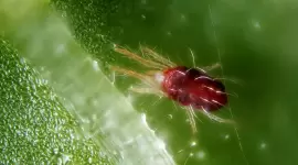 صورة تعبيرية