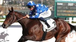 المهرة "باريبا"