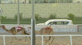 جانب من المنافسات